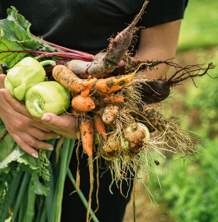 Légumes